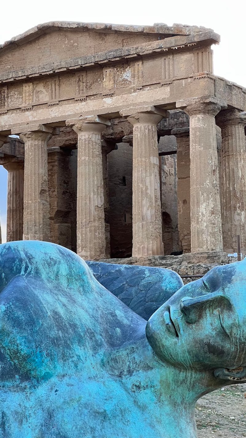 Pet Zone di Danilo Galantucci - Foto 4