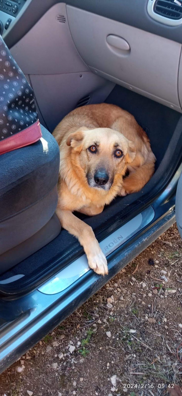 Pets And The City | Negozio animali | Toelettatura Cani | Trani BT - Foto 5