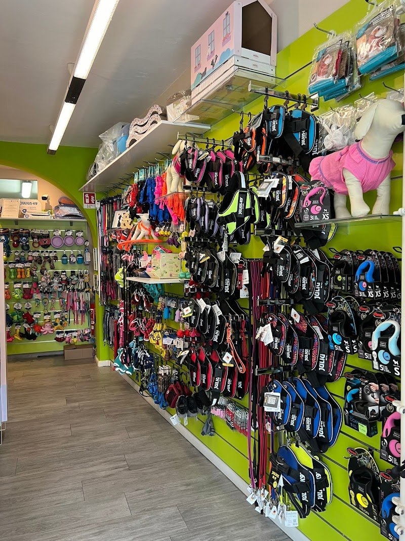 Pets and the city Toelettatura Articoli Per Animali Di Giannola Daniela - Foto 3