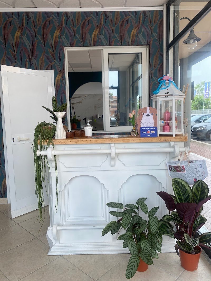 Pets Beauty Lab - Foto 3