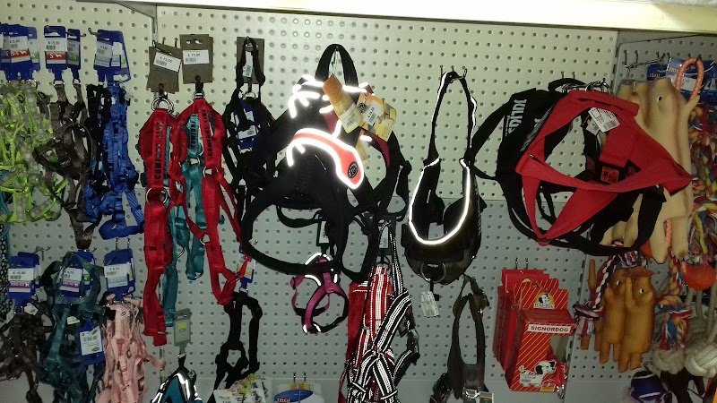 Pets By Abrescia - Foto 5