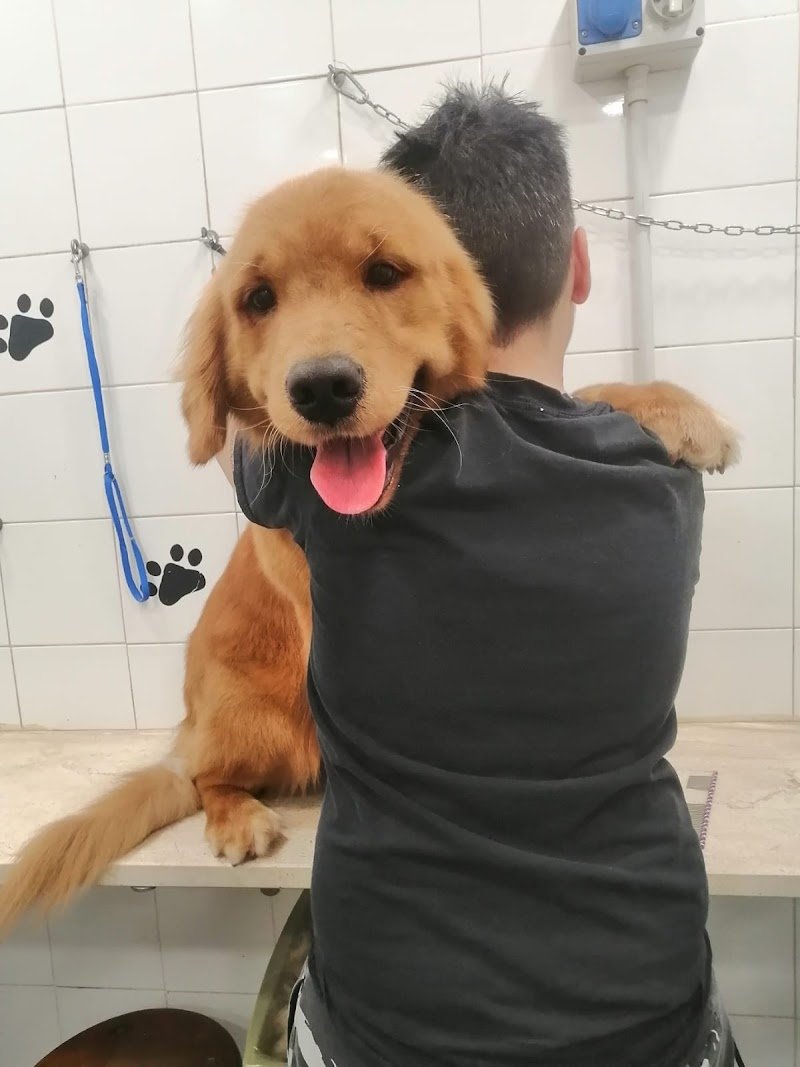 Pet'S Grooming Style di Soddu Francesca - Foto 5