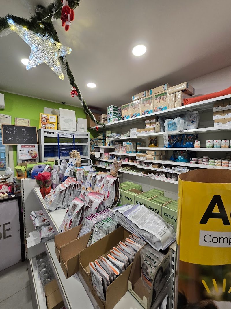 PET'S HOUSE - Foto 2