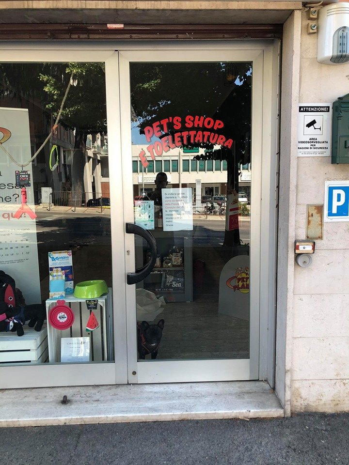 Pet's Planet Perugia: Shop & Toelettatura - Foto 3