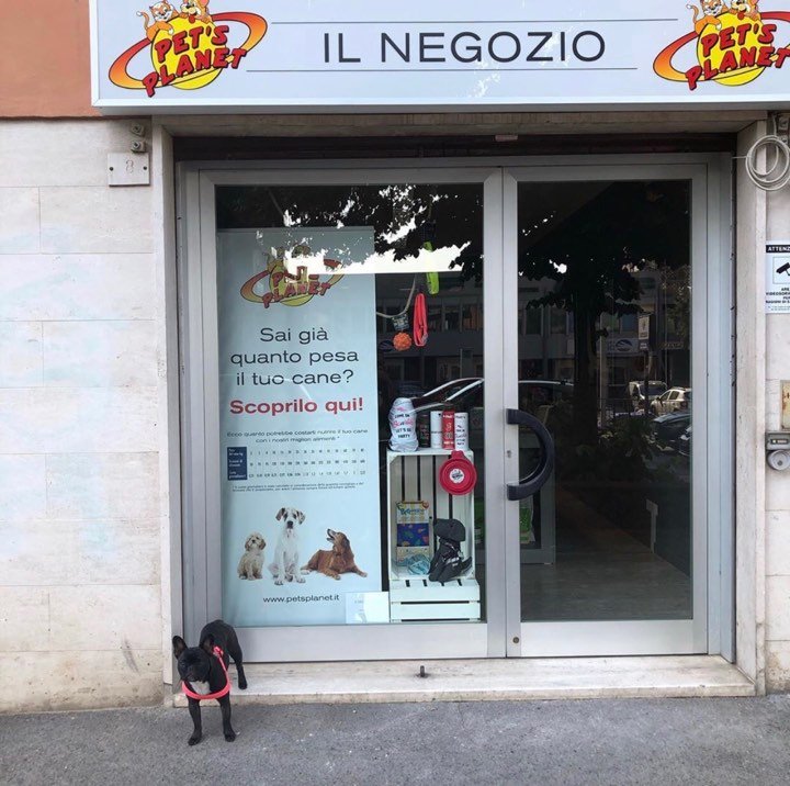 Pet's Planet Perugia: Shop & Toelettatura - Foto 5