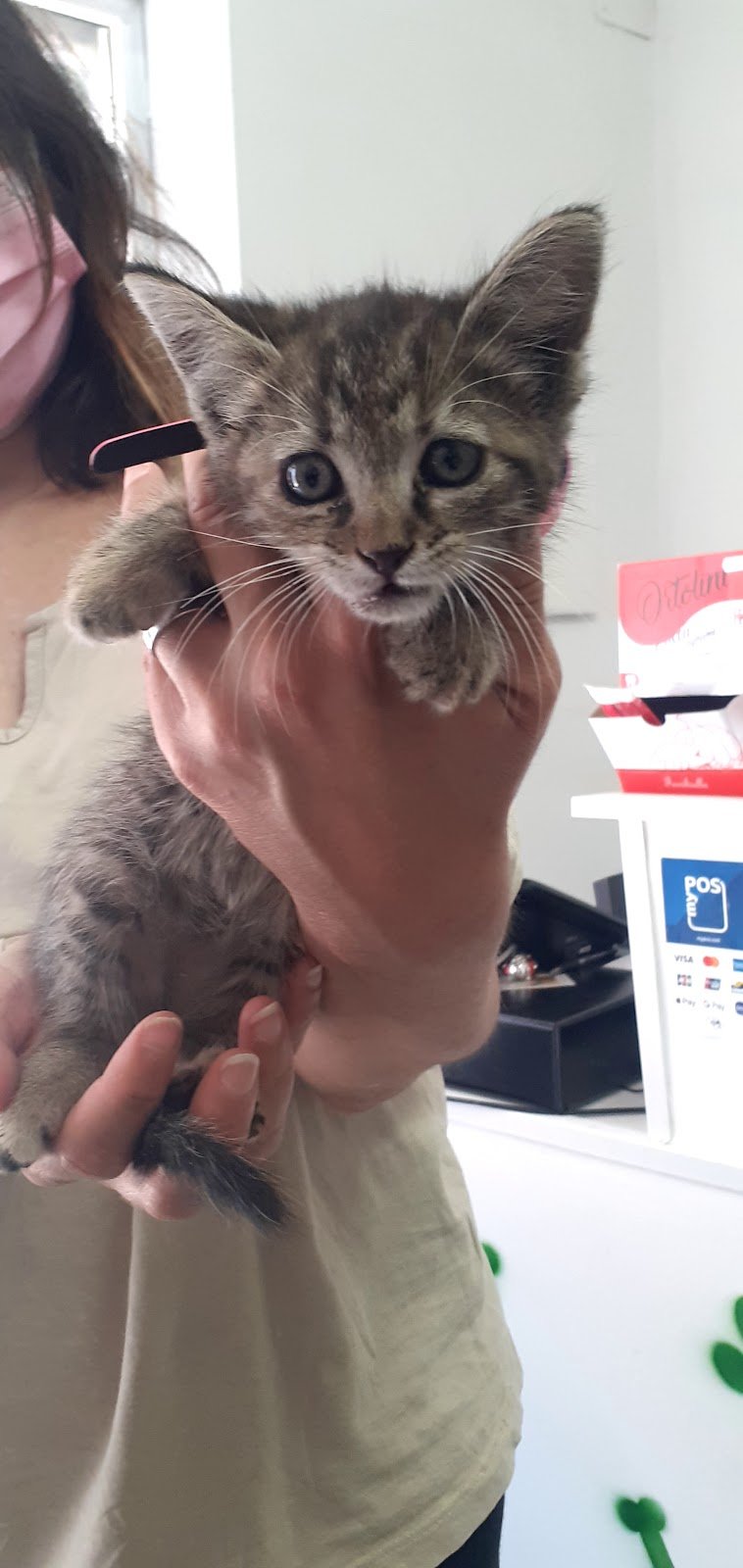 Petshop e Toelettatura IO & MARLEY La Grotta Vincenzo - Foto 4