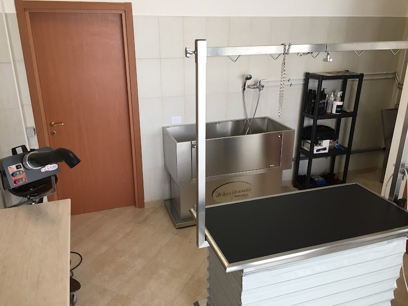 Pettinamìs - Foto 1