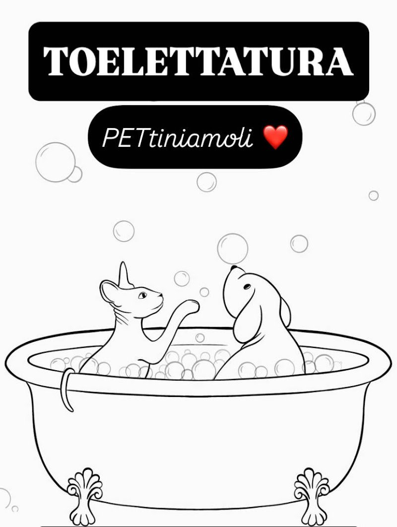 PETtiniamoli | Toelettatura a Bologna | Trattamenti per animali domestici, Spa per cani e gatti - Foto 3