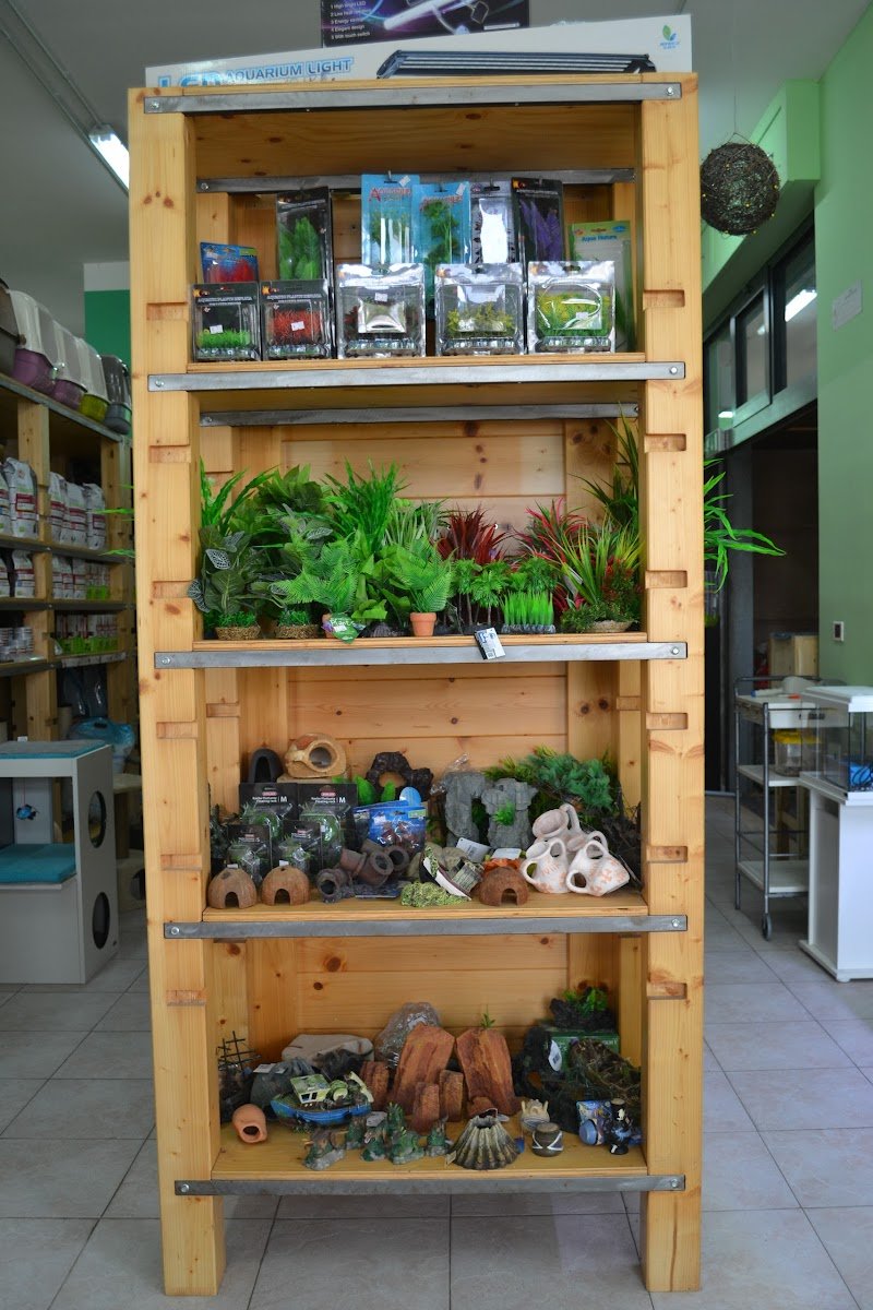 Pianeta Animale - Foto 3