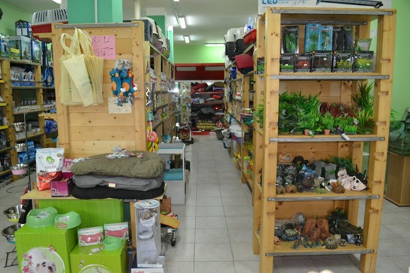 Pianeta Animale - Foto 6