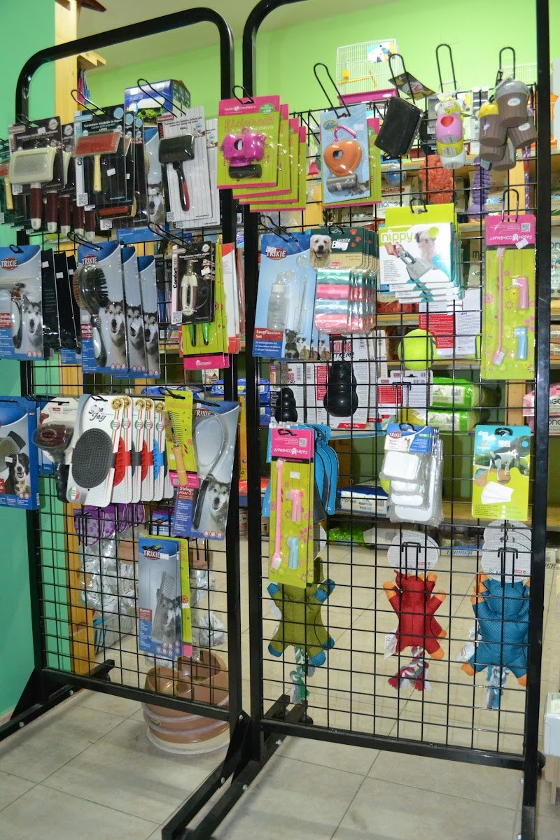 Pianeta Animale - Foto 4