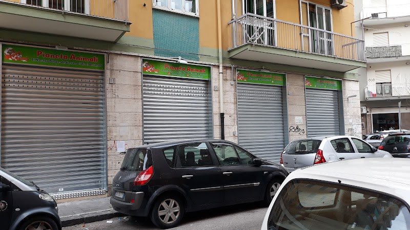 Pianeta Animali - Foto 3