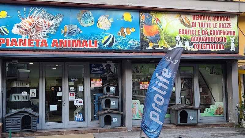 Pianeta Animali S.A.S. Di Serra Giuliano - Foto 1