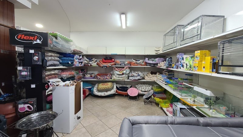 Pianeta Animali S.A.S. Di Serra Giuliano - Foto 5