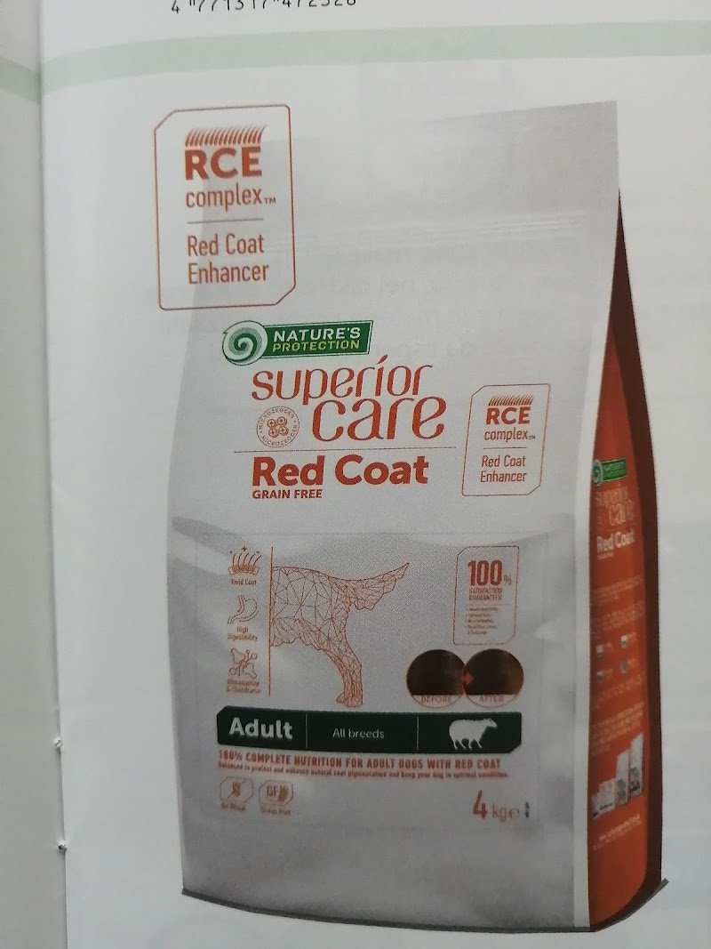 Pianeta Animali Toelettatura - Foto 2