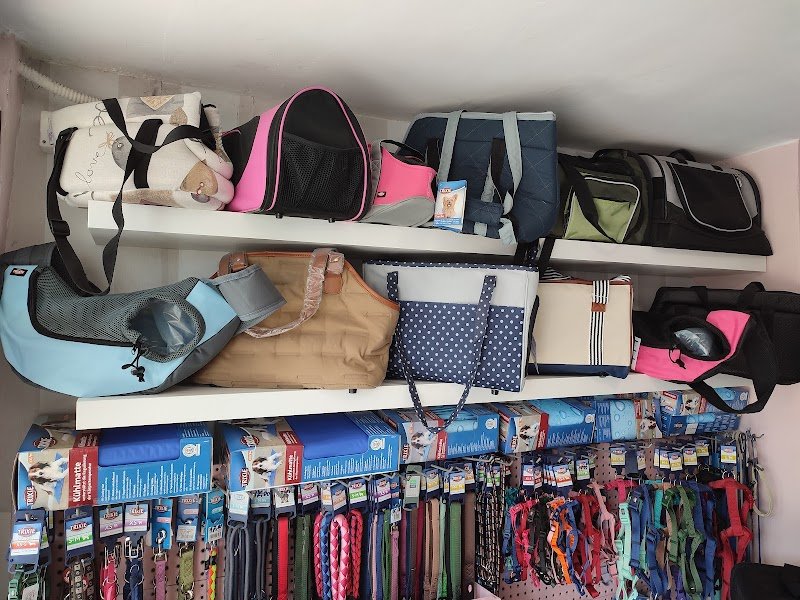 Pianeta Animali Toelettatura - Foto 5