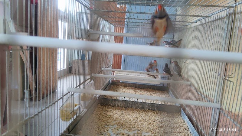 Piccola Fattoria - Foto 1