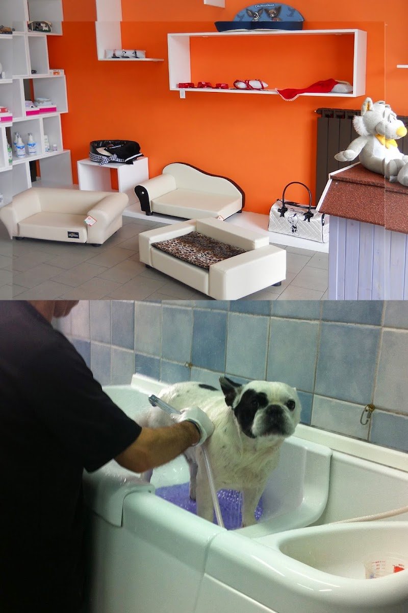 Piccola Fattoria - Foto 2