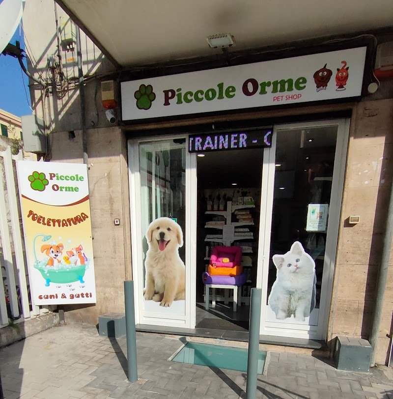 Piccole Orme - Foto 1