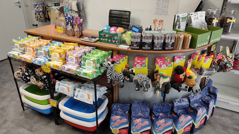 Piccole Orme - Foto 2