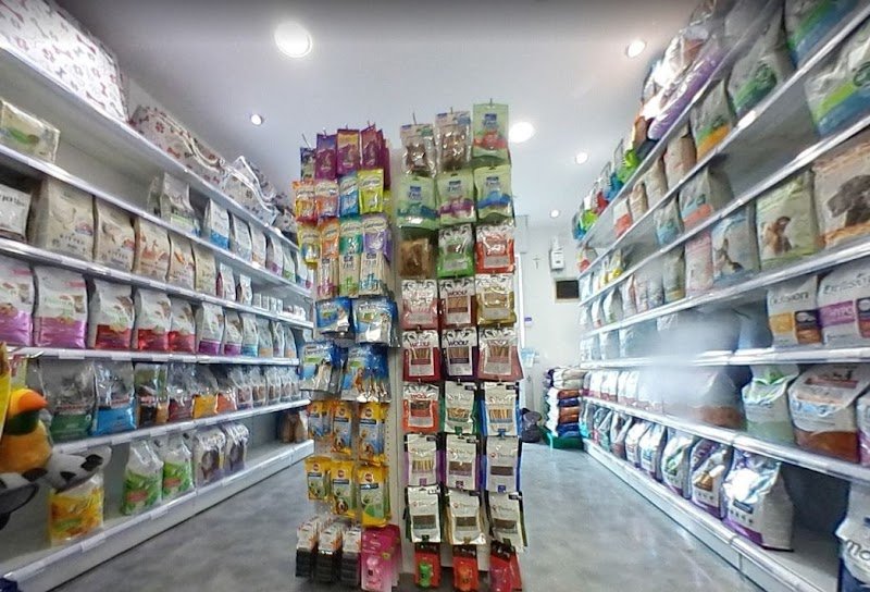 Piccole Orme - Foto 4