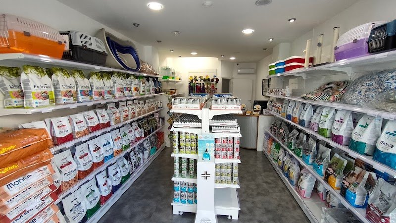 Piccole Orme - Foto 5