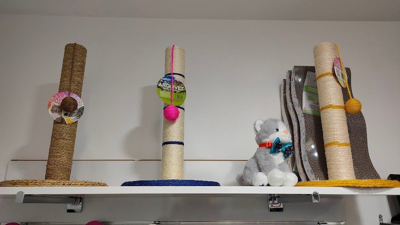 Piccole Orme - Foto 6