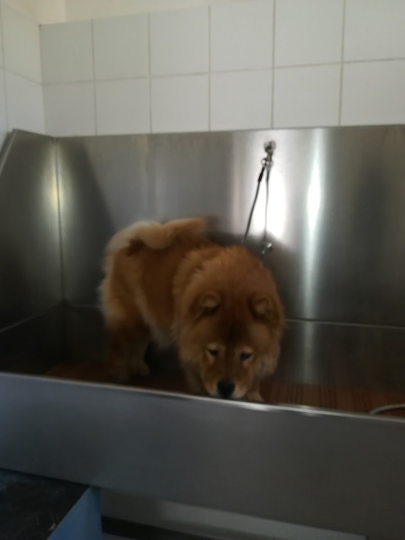 Piccole orme - Foto 1