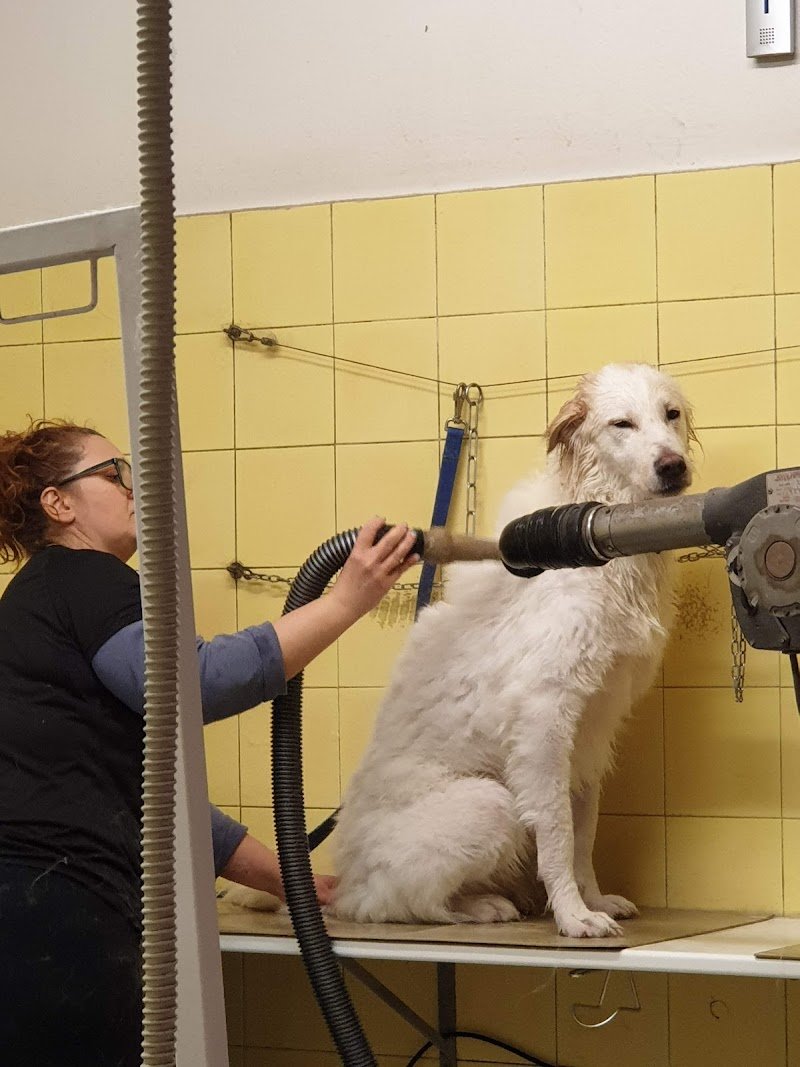 Piccoli Amici - Foto 1