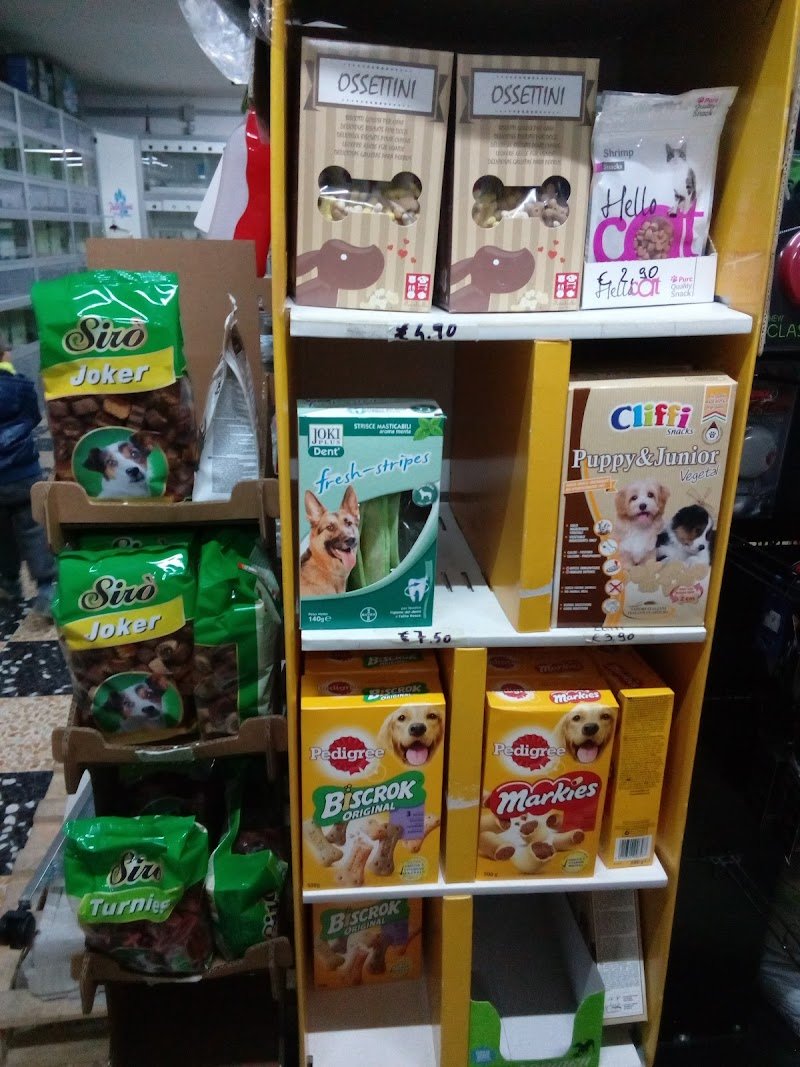 Piccoli Amici Shampoo & Coccole Teresa Spano: Servizio di Toelettatura - Foto 1