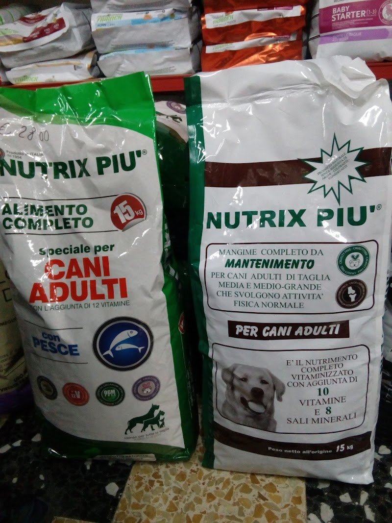 Piccoli Amici Shampoo & Coccole Teresa Spano: Servizio di Toelettatura - Foto 2