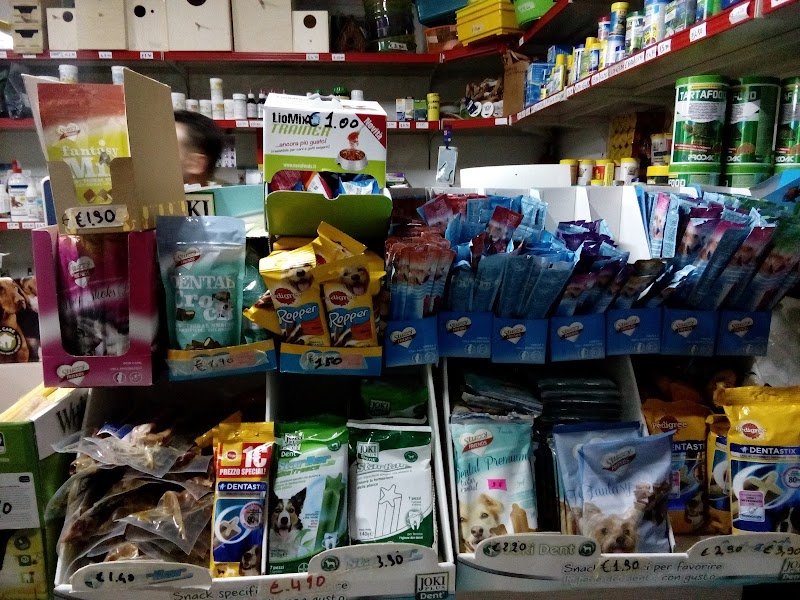 Piccoli Amici Shampoo & Coccole Teresa Spano: Servizio di Toelettatura - Foto 3