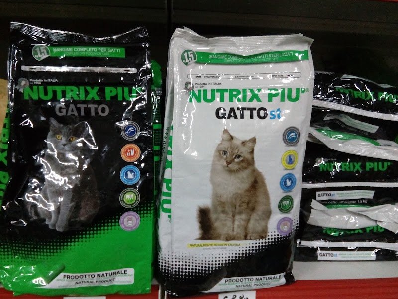 Piccoli Amici Shampoo & Coccole Teresa Spano: Servizio di Toelettatura - Foto 4