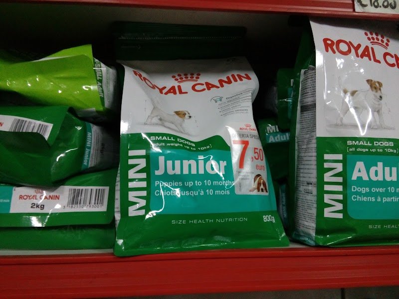 Piccoli Amici Shampoo & Coccole Teresa Spano: Servizio di Toelettatura - Foto 5