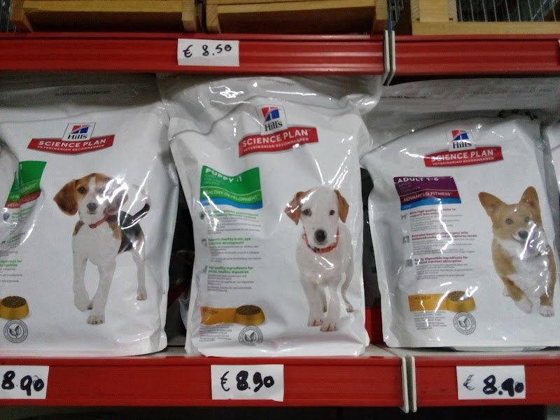 Piccoli Amici Shampoo & Coccole Teresa Spano: Servizio di Toelettatura - Foto 6