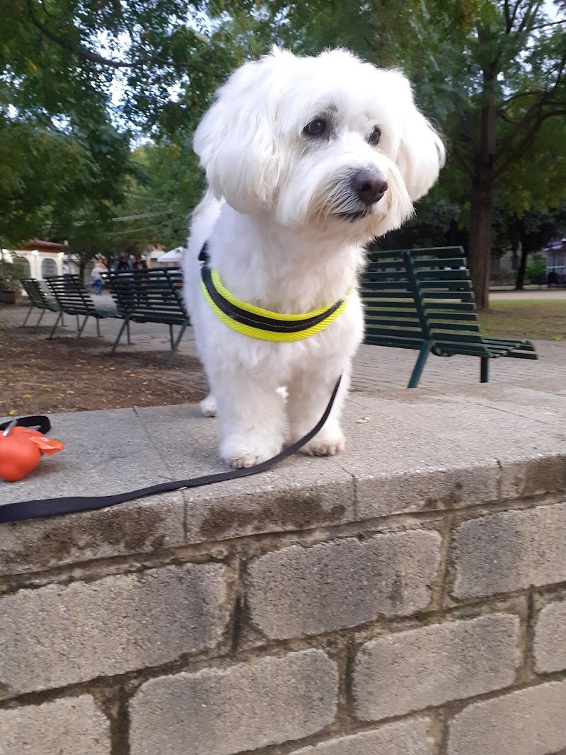 Piccoli Amici Toilette per Animali - Foto 2