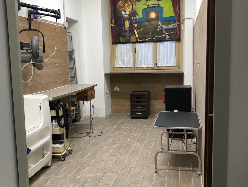 Piccoli Animali - Foto 2