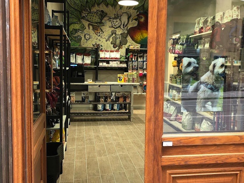 Piccoli Animali - Foto 3