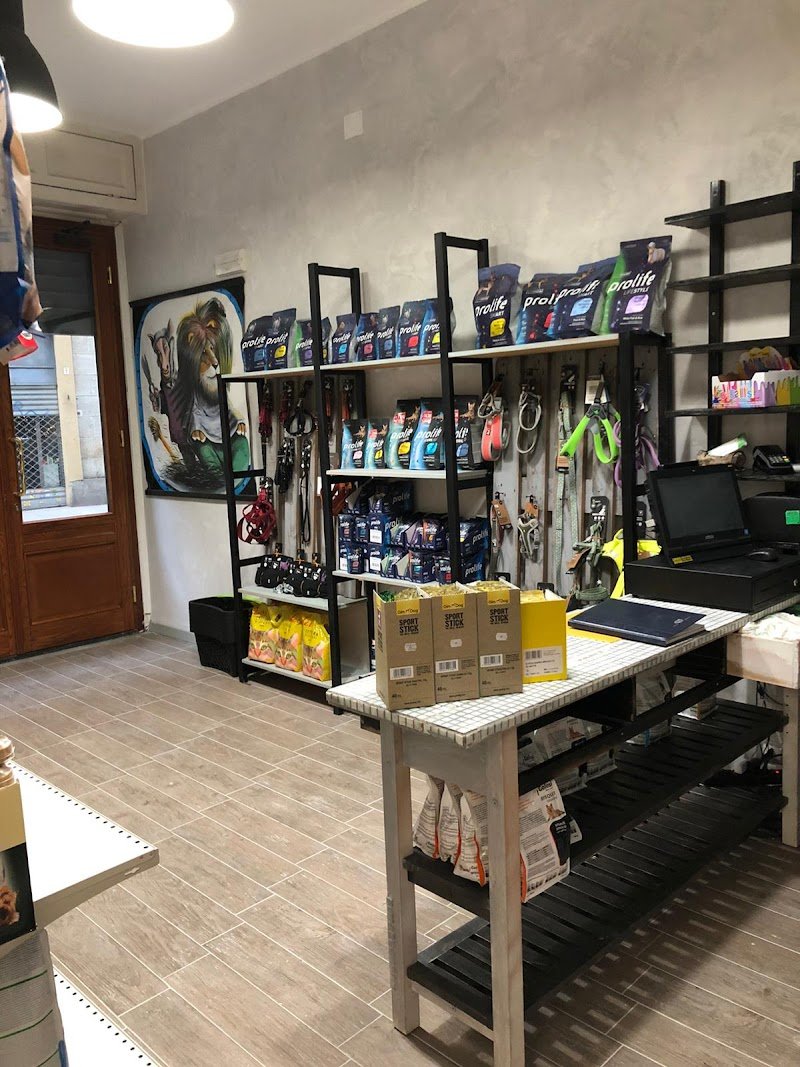 Piccoli Animali - Foto 6