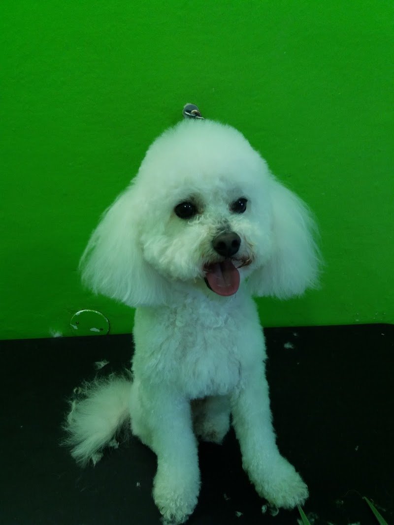 Piccoli Momenti Piacenza - Foto 5