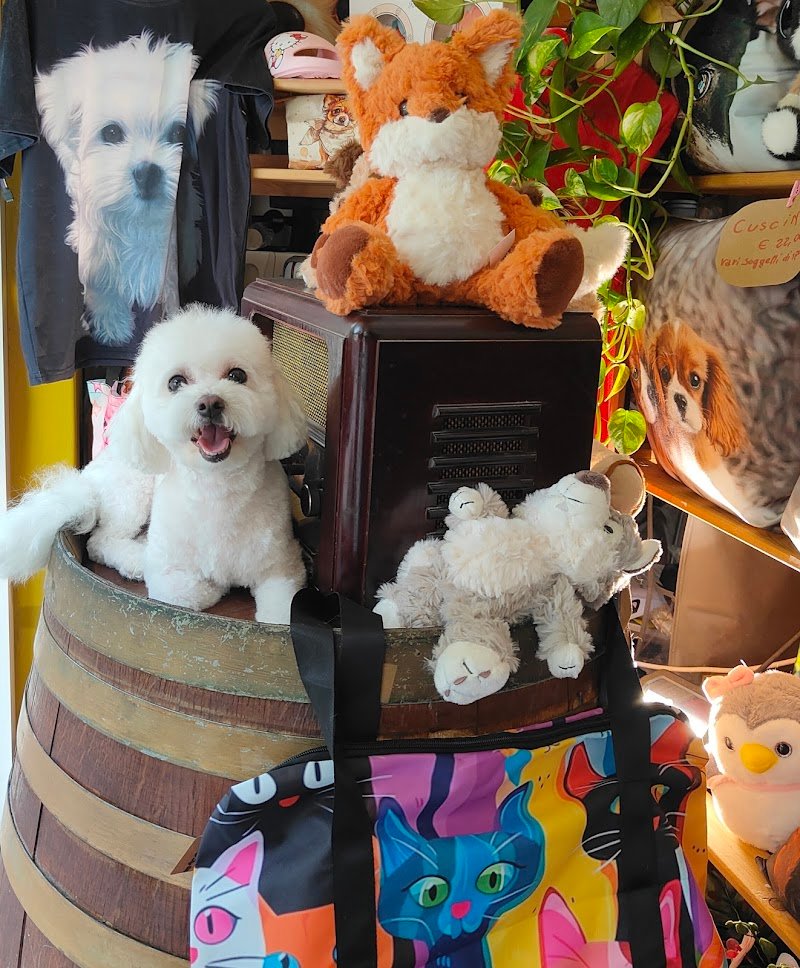 Piccolo Ranch di Claudia - Foto 2