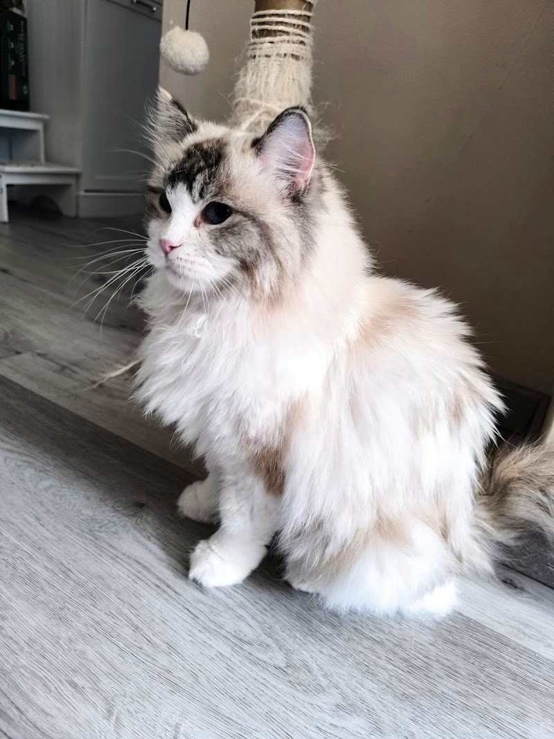 Piccolo Ranch di Claudia - Foto 3