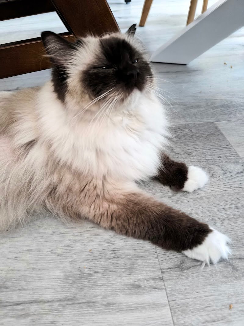 Piccolo Ranch di Claudia - Foto 4