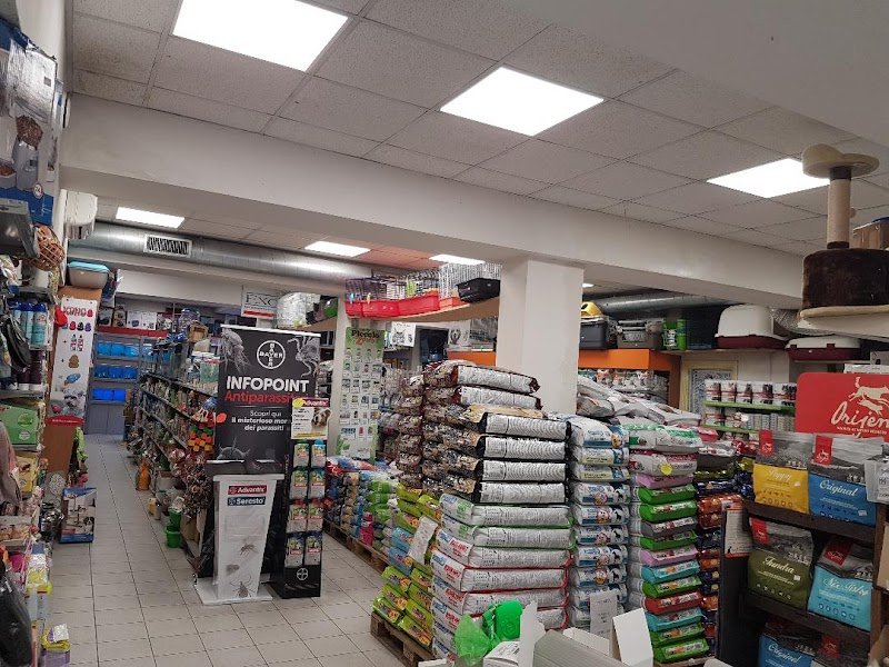 Piccolo Zoo - Foto 2