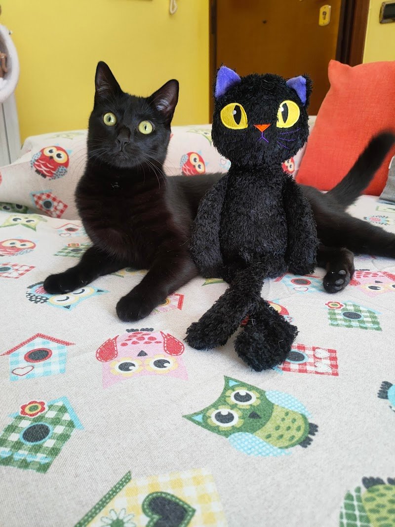 Piccolo Zoo - Foto 4