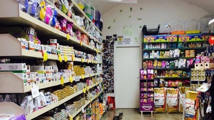 Piccolo Zoo - Foto 1