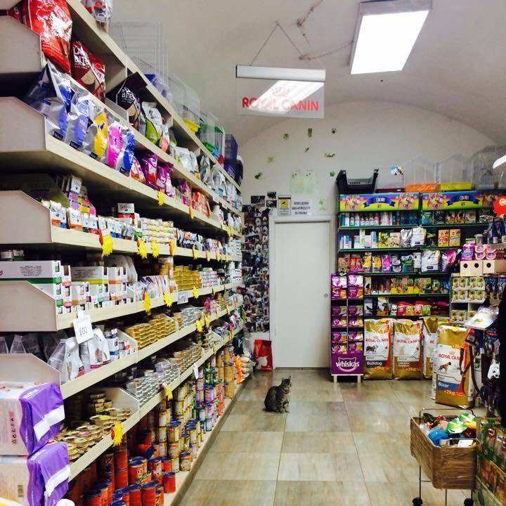 Piccolo Zoo - Foto 4