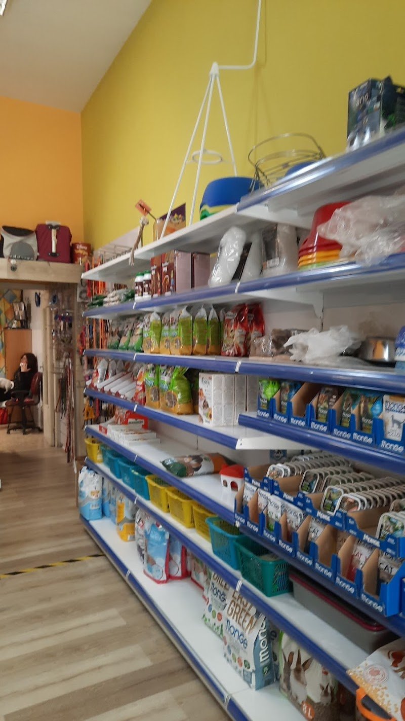 Piccolo Zoo - Foto 2