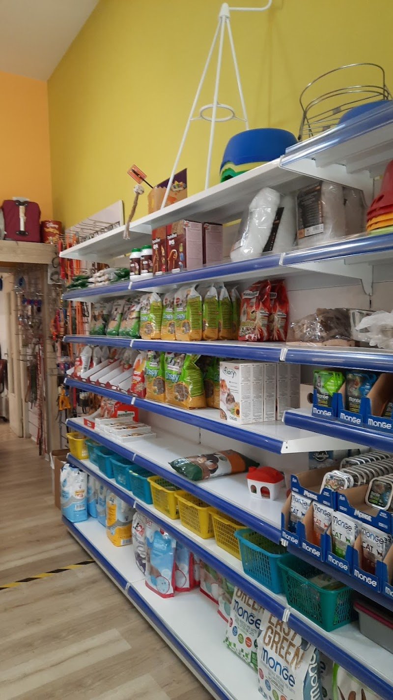 Piccolo Zoo - Foto 3