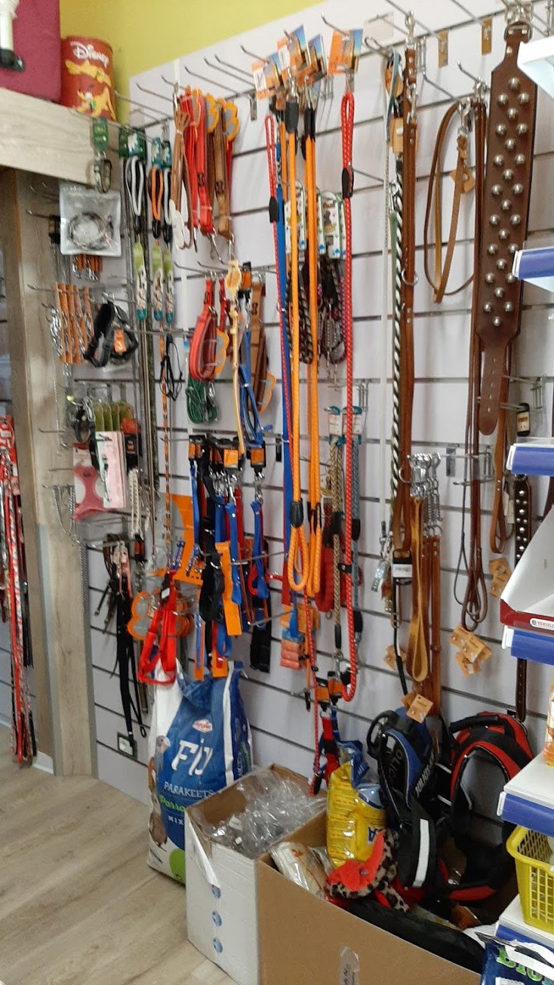 Piccolo Zoo - Foto 5